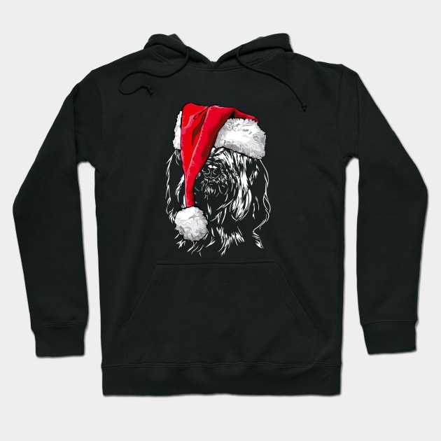 Funny Briard Santa Christmas dog mom Hoodie by wilsigns